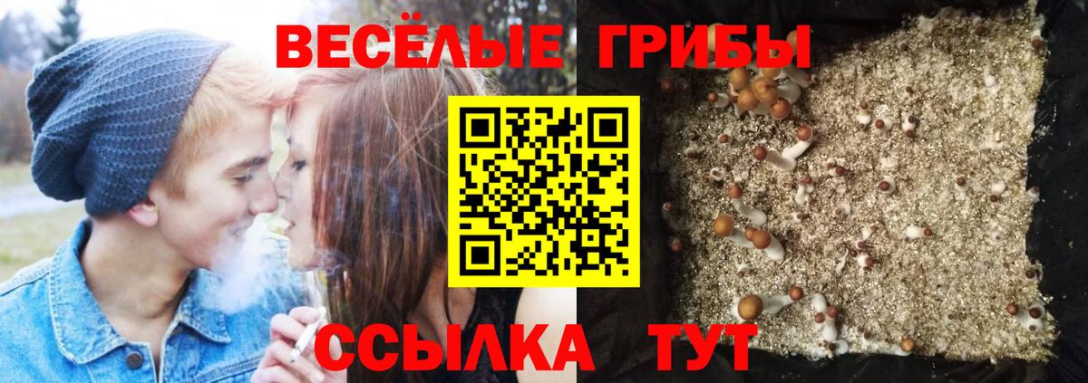 Псилоцибиновые грибы мухоморы Орск