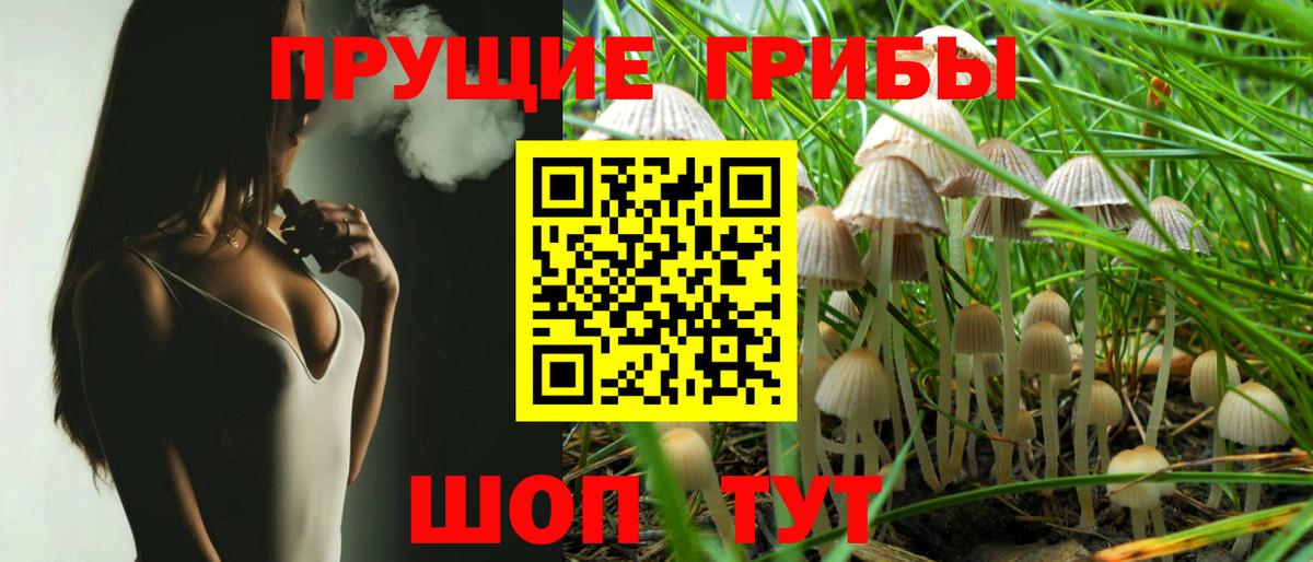 купить наркотики цена  Вход с VPN  Орск  Галлюциногенные грибы MAGIC MUSHROOMS 